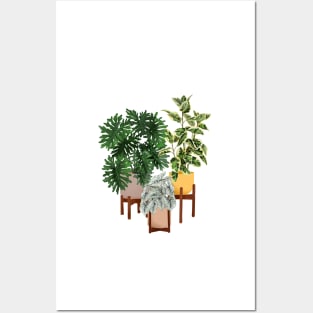 House Plants Illustration 27 Posters and Art